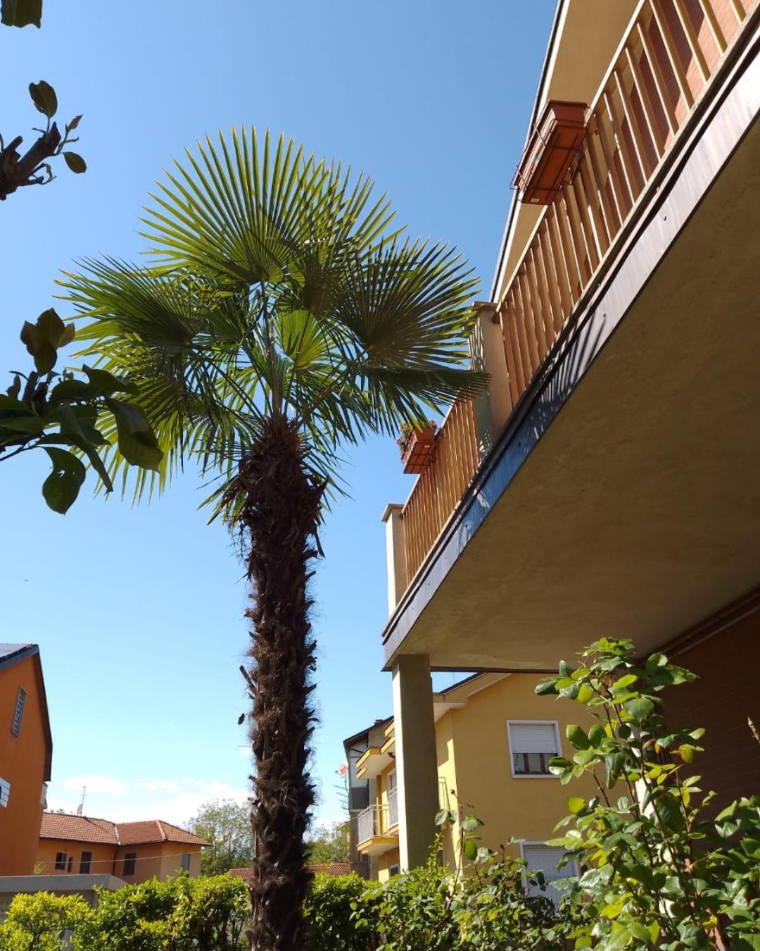 Appartement La Magnolia à Venaria Reale Extérieur photo